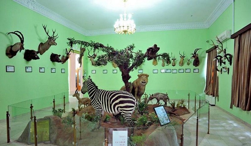 حیوانات در موزه هفت چنار
