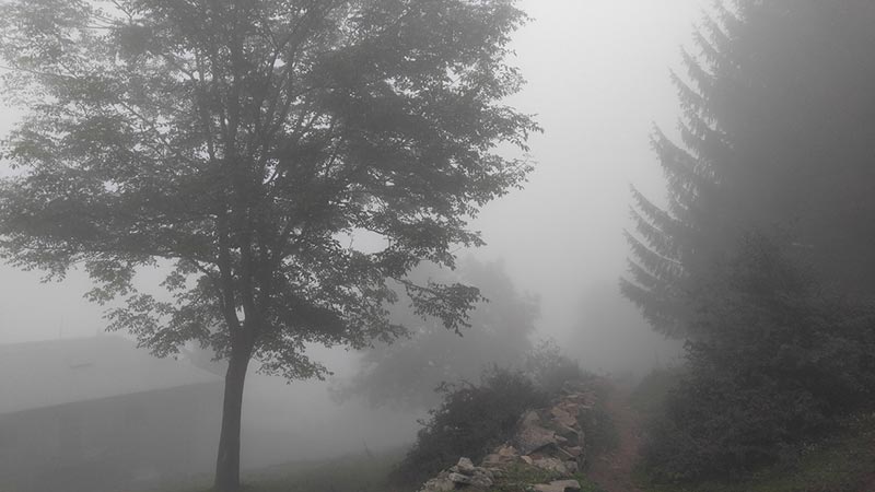طبیعت مه‌آلود جواهرده