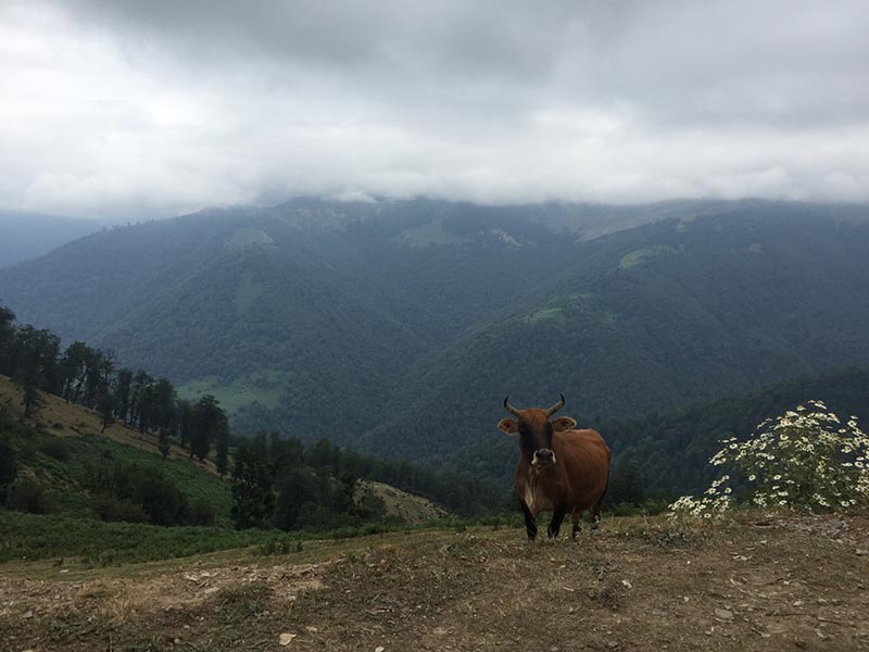 اولسبلانگاه، روستایی ییلاقی درغرب گیلان