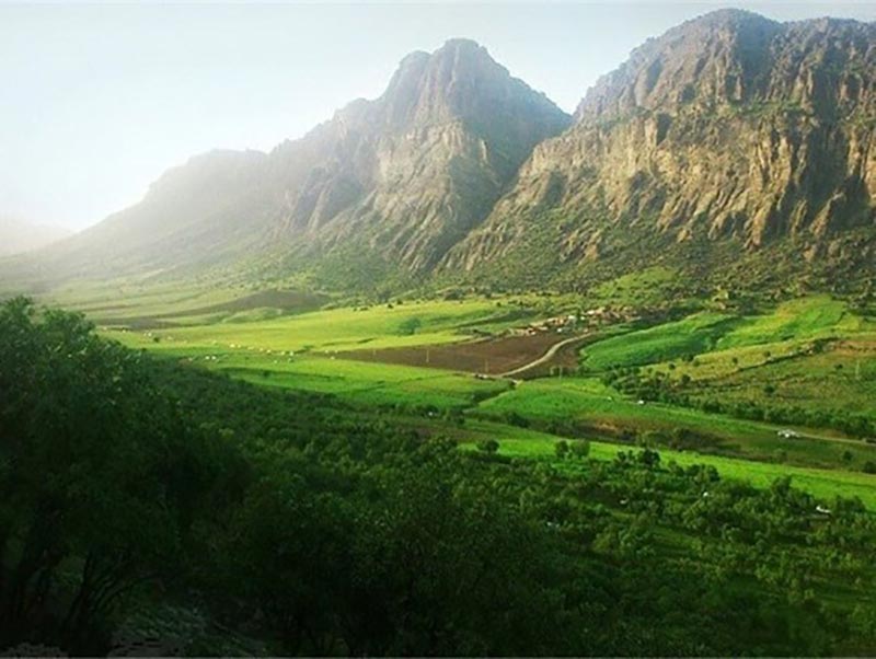  نمایی از طبیعت سرسبز سفید کوه