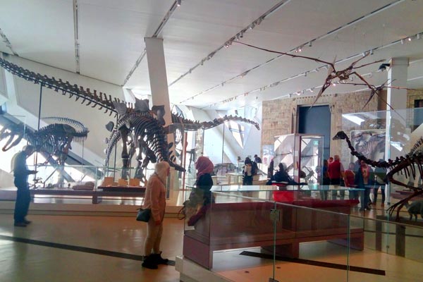 فسیل دایناسور موزه رویال اونتاریو