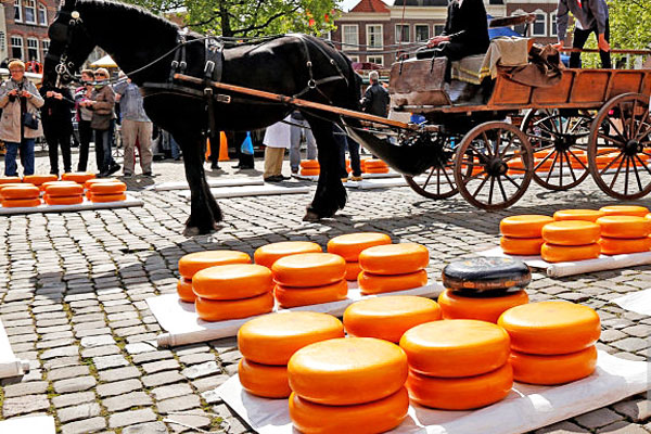 cheeses amesterdam