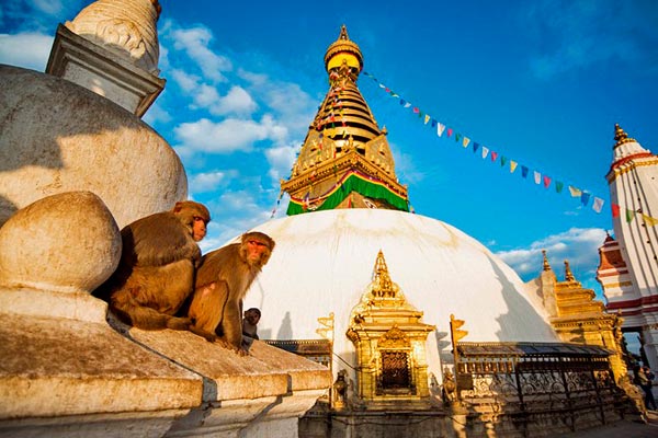 معبد Swayambhunath