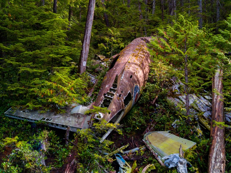 سقوط هواپیما در جنگل