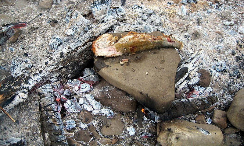 طبخ ماهی بر روی سنگ