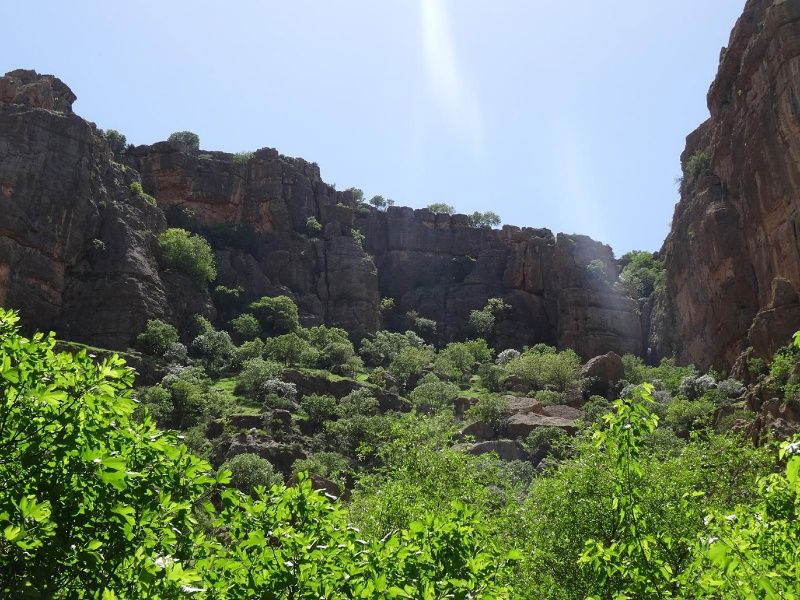 چشمه سراب اسکندر در شهرستان دالاهو